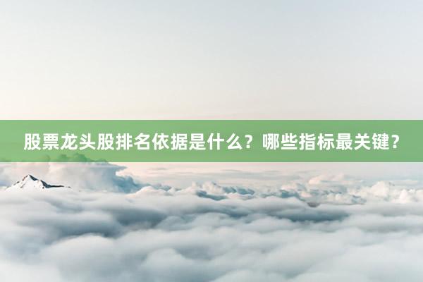 股票龙头股排名依据是什么？哪些指标最关键？