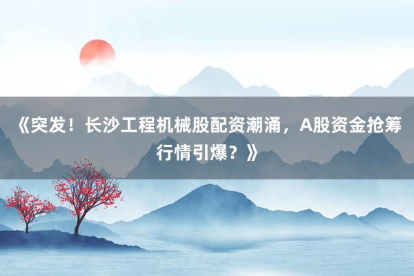 《突发！长沙工程机械股配资潮涌，A股资金抢筹行情引爆？》