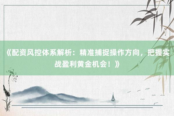 《配资风控体系解析：精准捕捉操作方向，把握实战盈利黄金机会！》