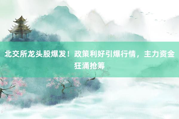 北交所龙头股爆发！政策利好引爆行情，主力资金狂涌抢筹