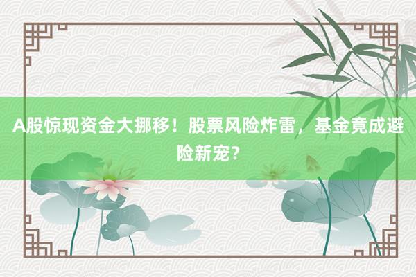 A股惊现资金大挪移！股票风险炸雷，基金竟成避险新宠？