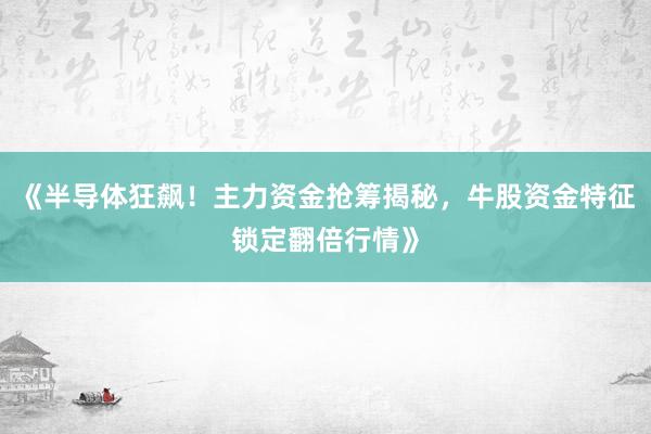 《半导体狂飙！主力资金抢筹揭秘，牛股资金特征锁定翻倍行情》