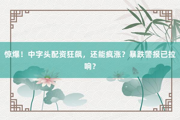 惊爆！中字头配资狂飙，还能疯涨？暴跌警报已拉响？