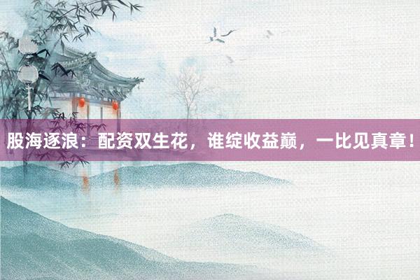 股海逐浪：配资双生花，谁绽收益巅，一比见真章！
