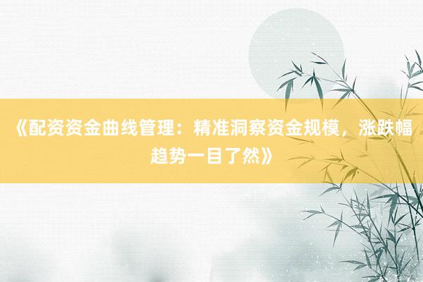 《配资资金曲线管理：精准洞察资金规模，涨跌幅趋势一目了然》