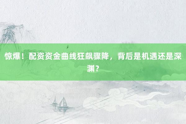 惊爆！配资资金曲线狂飙骤降，背后是机遇还是深渊？