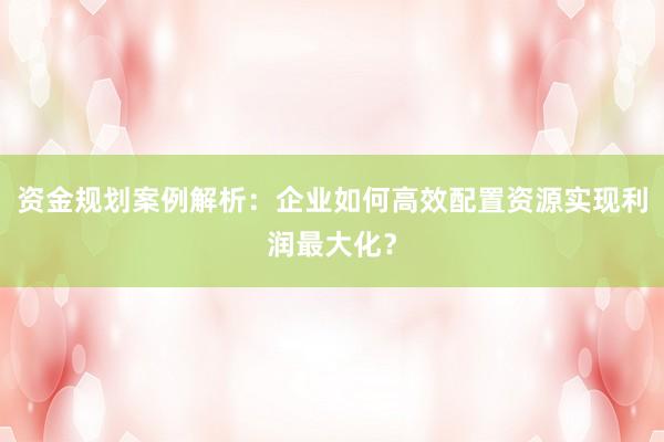 资金规划案例解析：企业如何高效配置资源实现利润最大化？