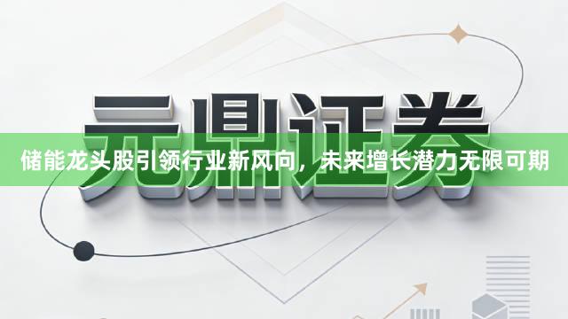 储能龙头股引领行业新风向，未来增长潜力无限可期