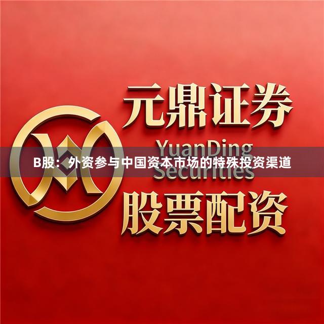 B股：外资参与中国资本市场的特殊投资渠道