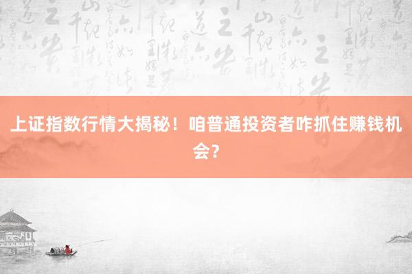 上证指数行情大揭秘！咱普通投资者咋抓住赚钱机会？