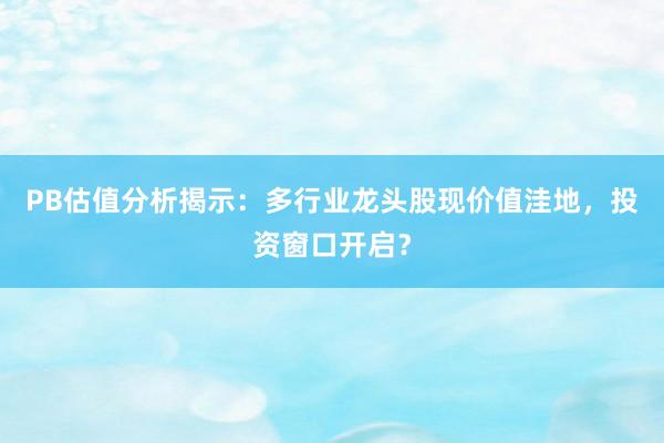 PB估值分析揭示：多行业龙头股现价值洼地，投资窗口开启？