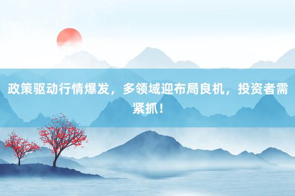 政策驱动行情爆发，多领域迎布局良机，投资者需紧抓！
