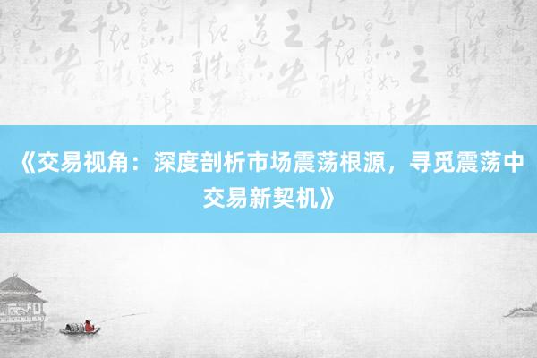 《交易视角：深度剖析市场震荡根源，寻觅震荡中交易新契机》