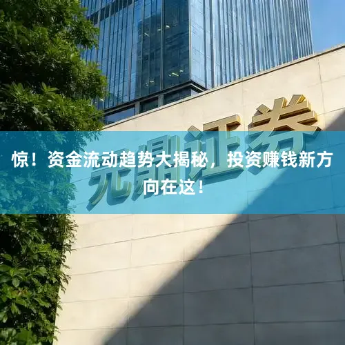 惊！资金流动趋势大揭秘，投资赚钱新方向在这！