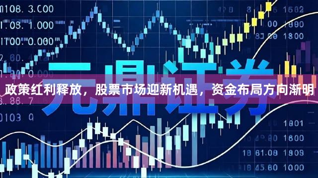 政策红利释放，股票市场迎新机遇，资金布局方向渐明