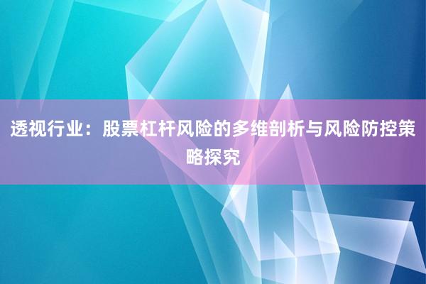 透视行业：股票杠杆风险的多维剖析与风险防控策略探究