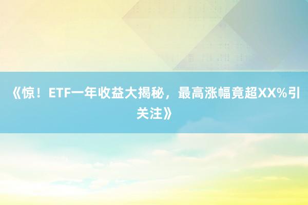 《惊！ETF一年收益大揭秘，最高涨幅竟超XX%引关注》