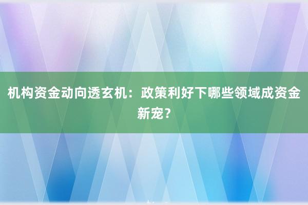 机构资金动向透玄机：政策利好下哪些领域成资金新宠？