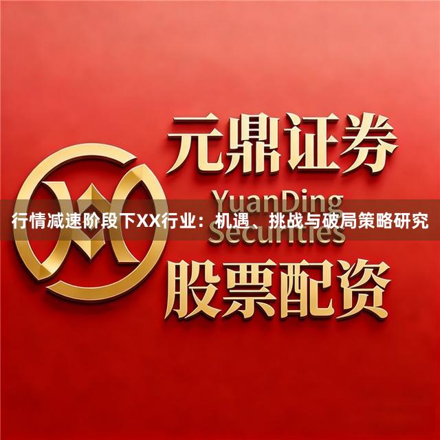 行情减速阶段下XX行业：机遇、挑战与破局策略研究