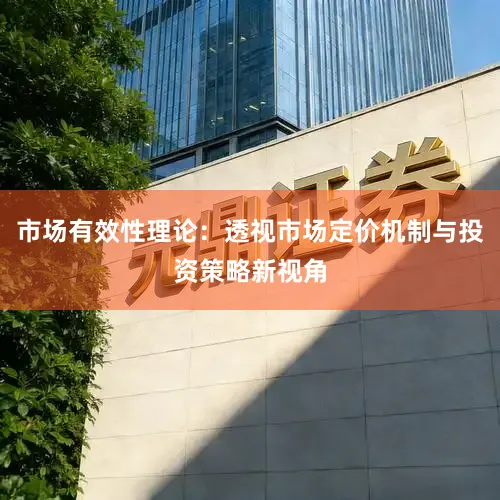 市场有效性理论：透视市场定价机制与投资策略新视角